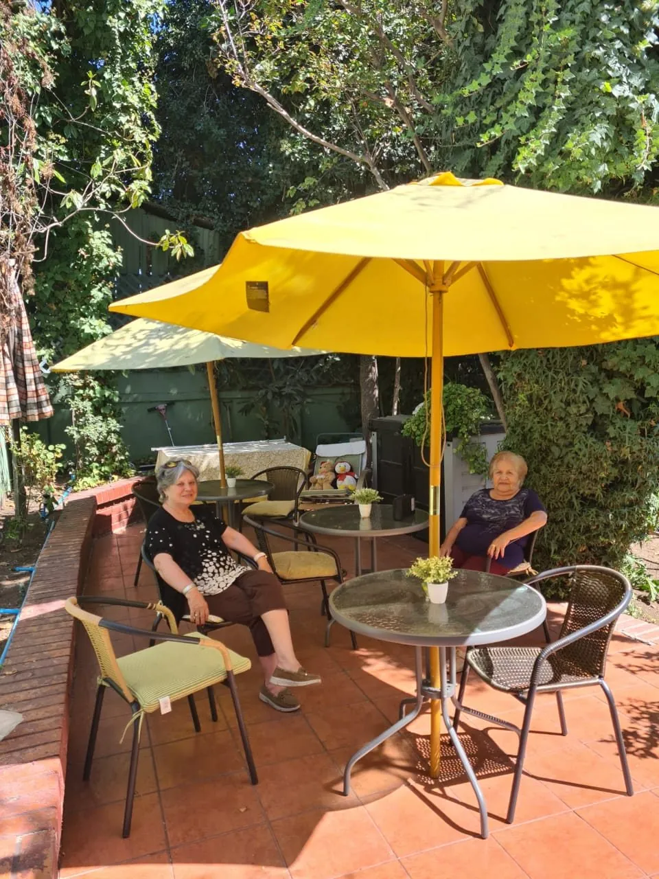 El jardín de la casa con mesas y quitasol, rodeado de árboles
